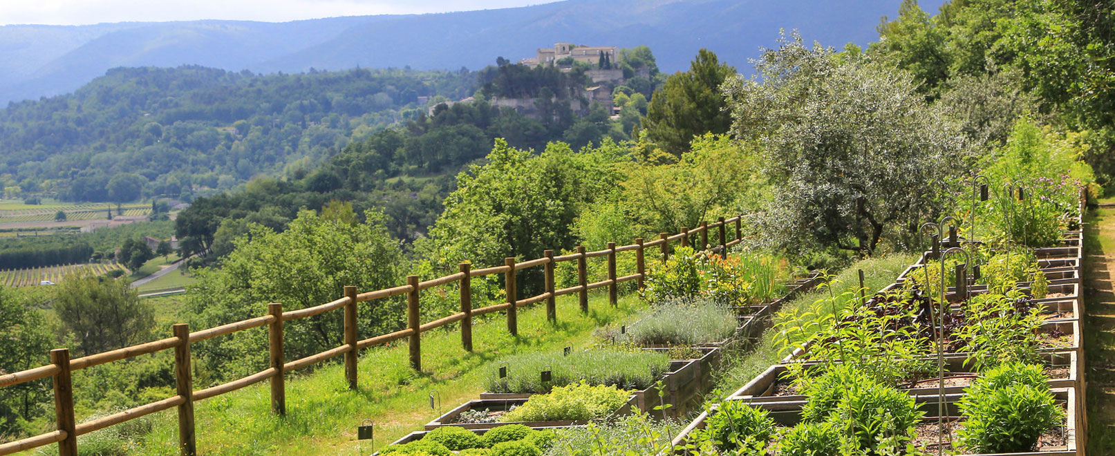 Visita botánica en el Domaine de la Citadelle © Hocquel