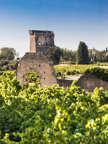 Patrimonio y viñedos en Châteauneuf-du-Pape