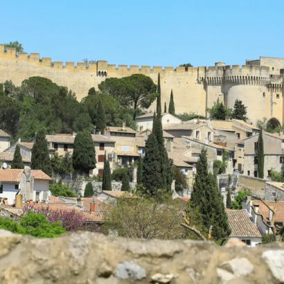 Paseo por Villeneuve-lès-Avignon